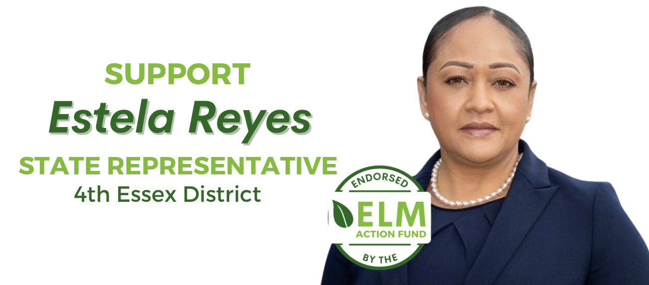 Environmental League of Massachusetts Action Fund, Inc.