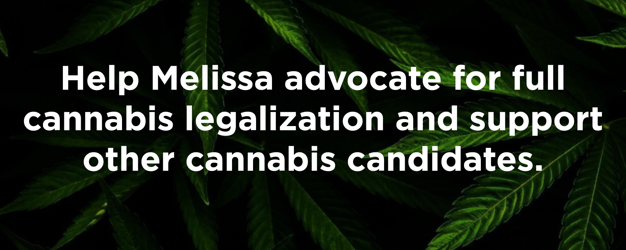 State Senate Democratic Committee (WI)