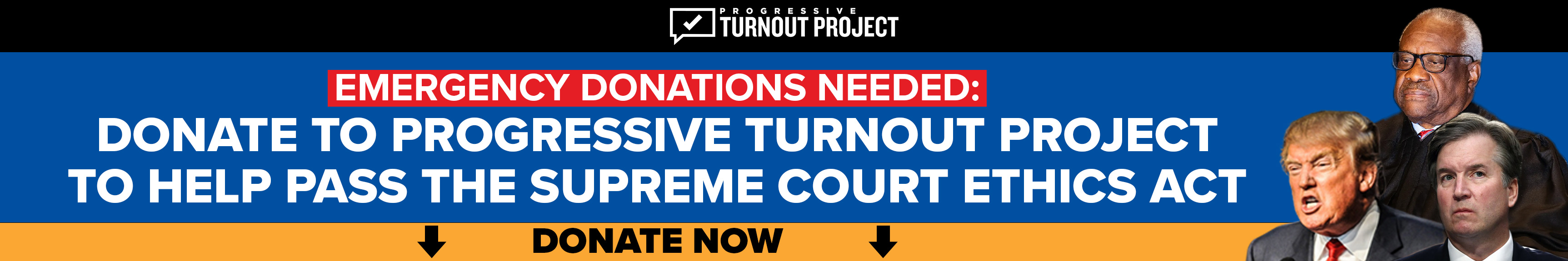 Progressive Turnout Project
