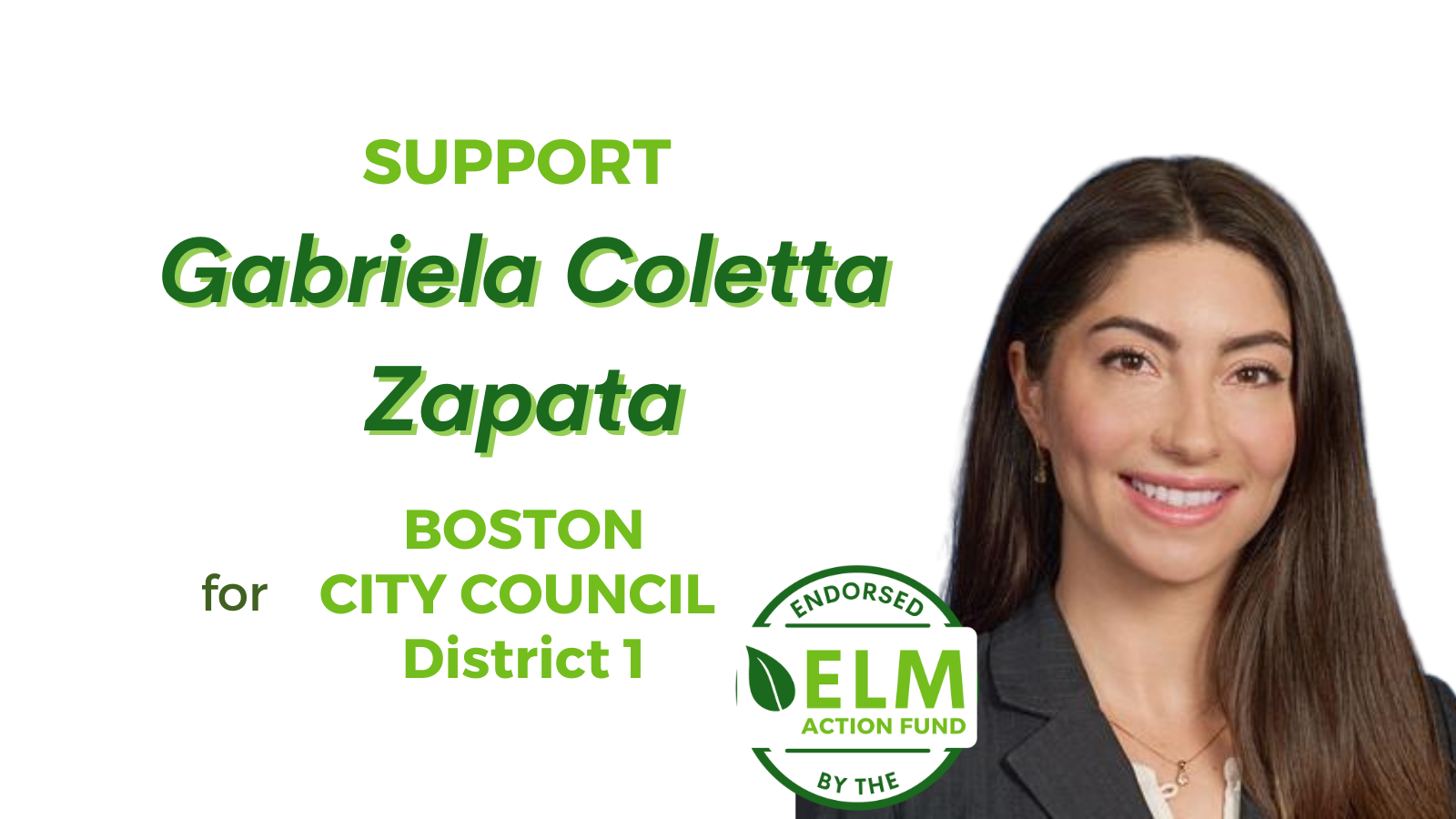 Environmental League of Massachusetts Action Fund, Inc.