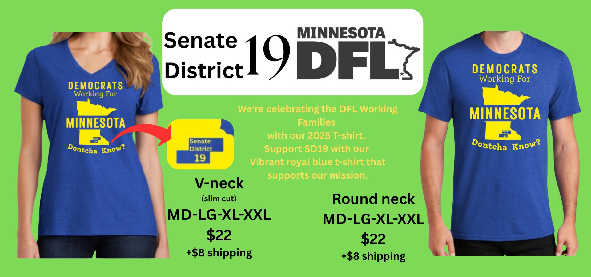 DFL Senate District 19