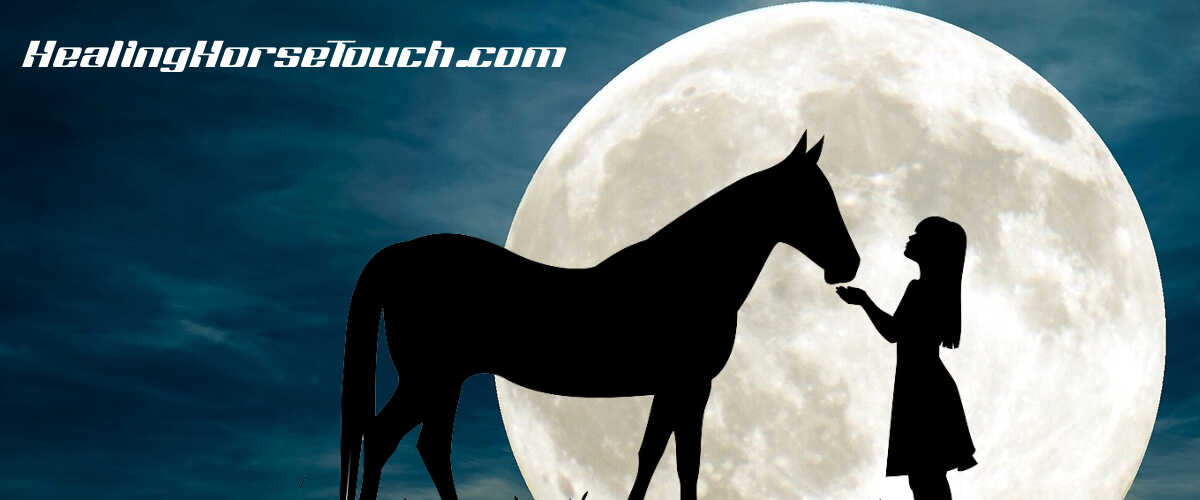 Healing Horse Touch Company