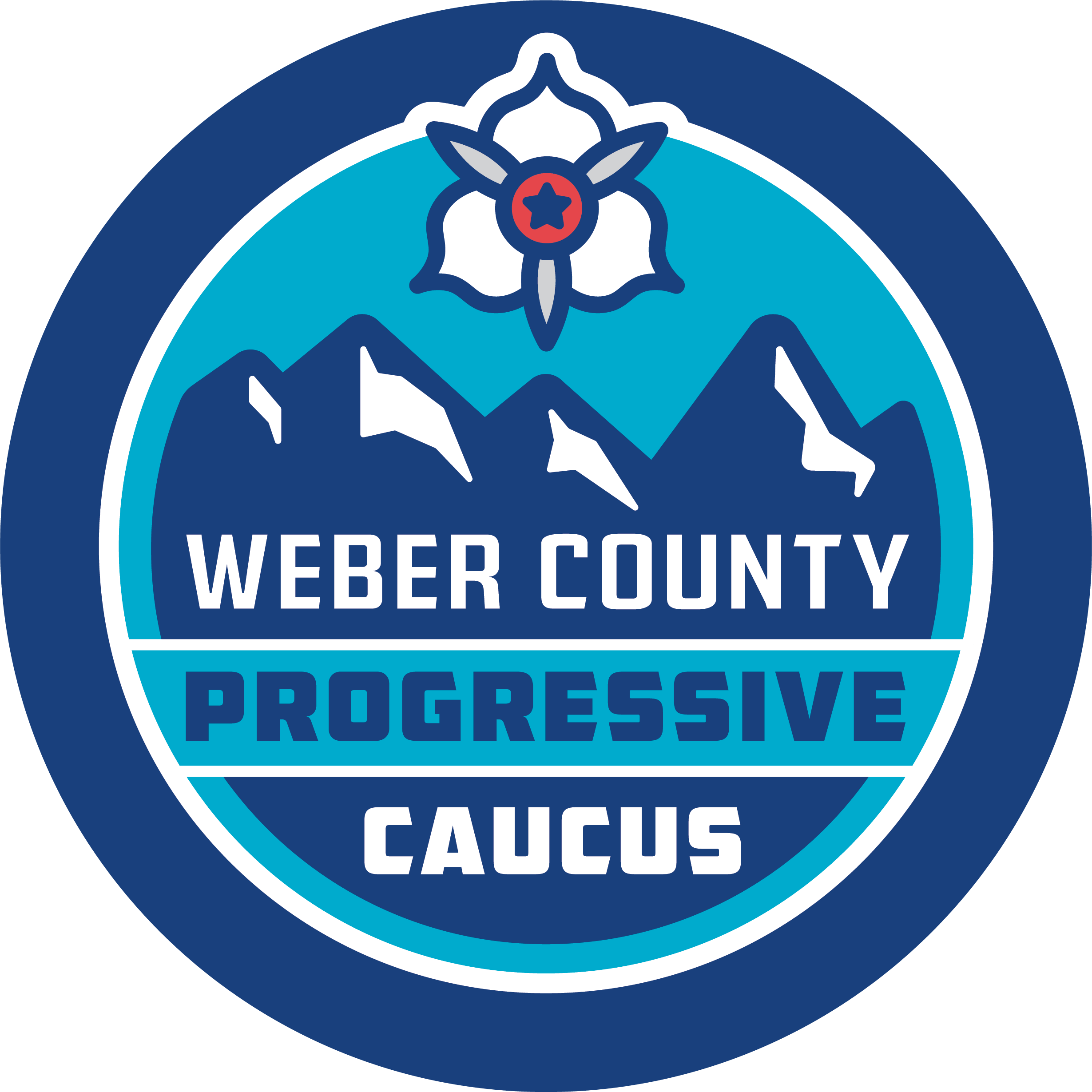 Weber County Democratic Party (UT)