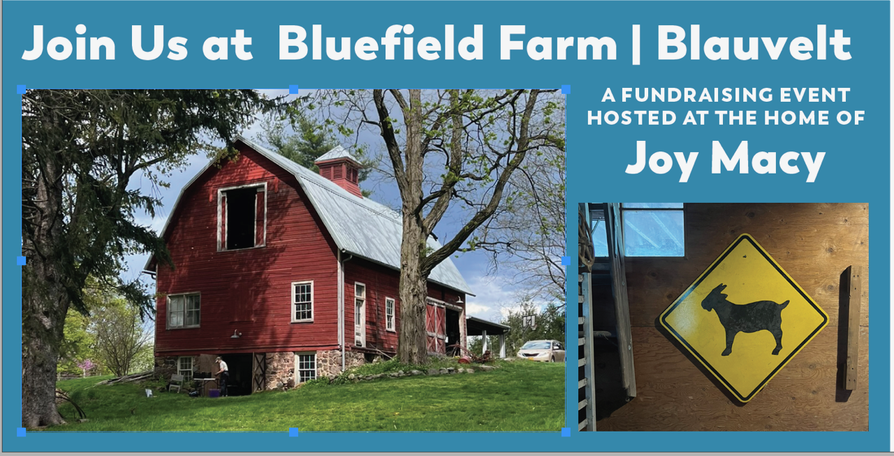 Orangetown Democratic Campaign Committee (NY)