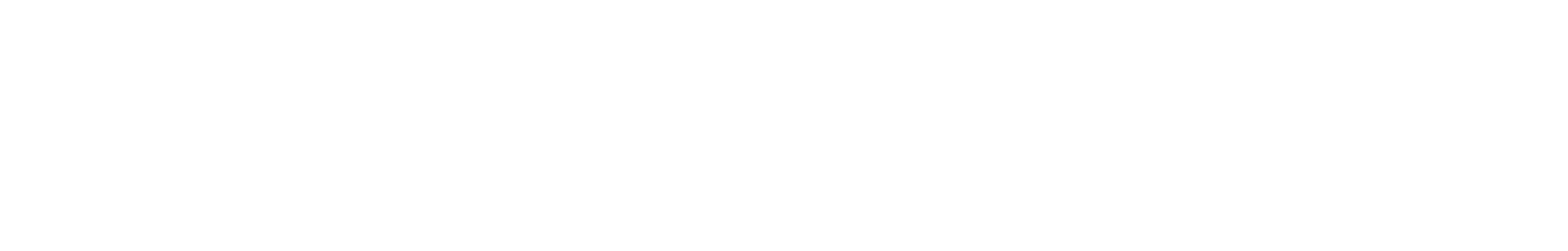 Fair Fight Action