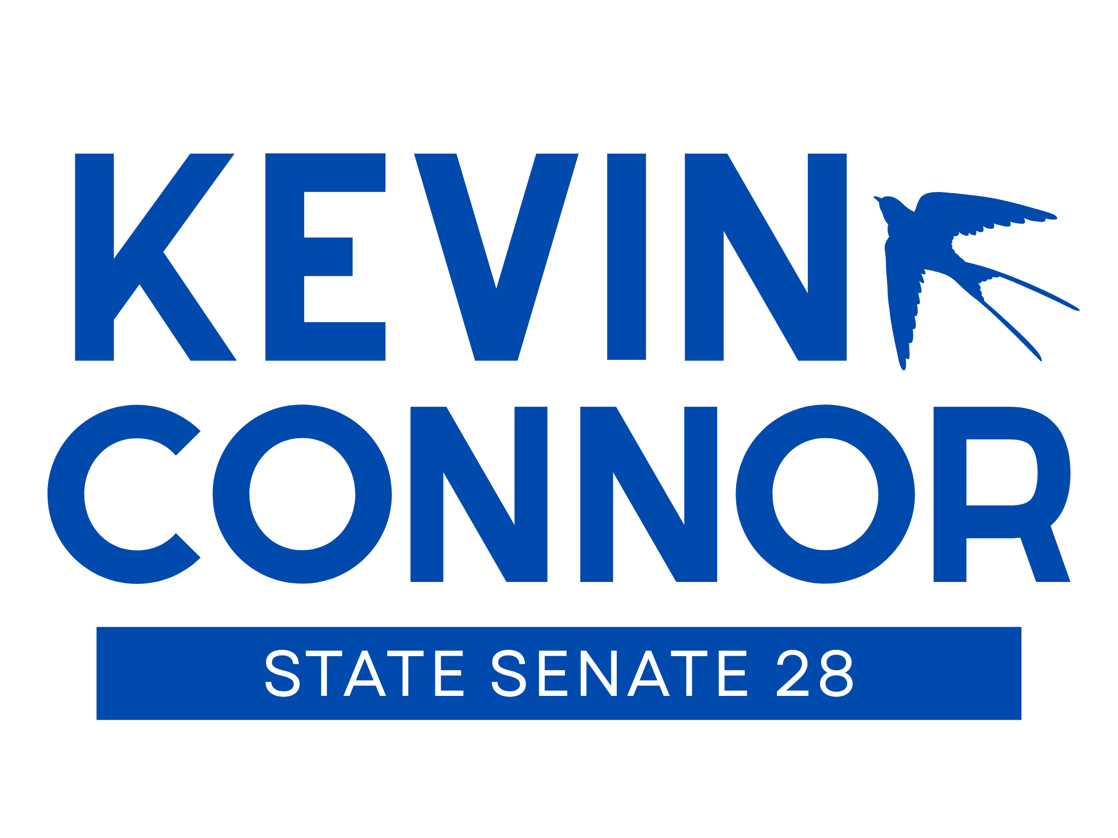 Kevin Connor