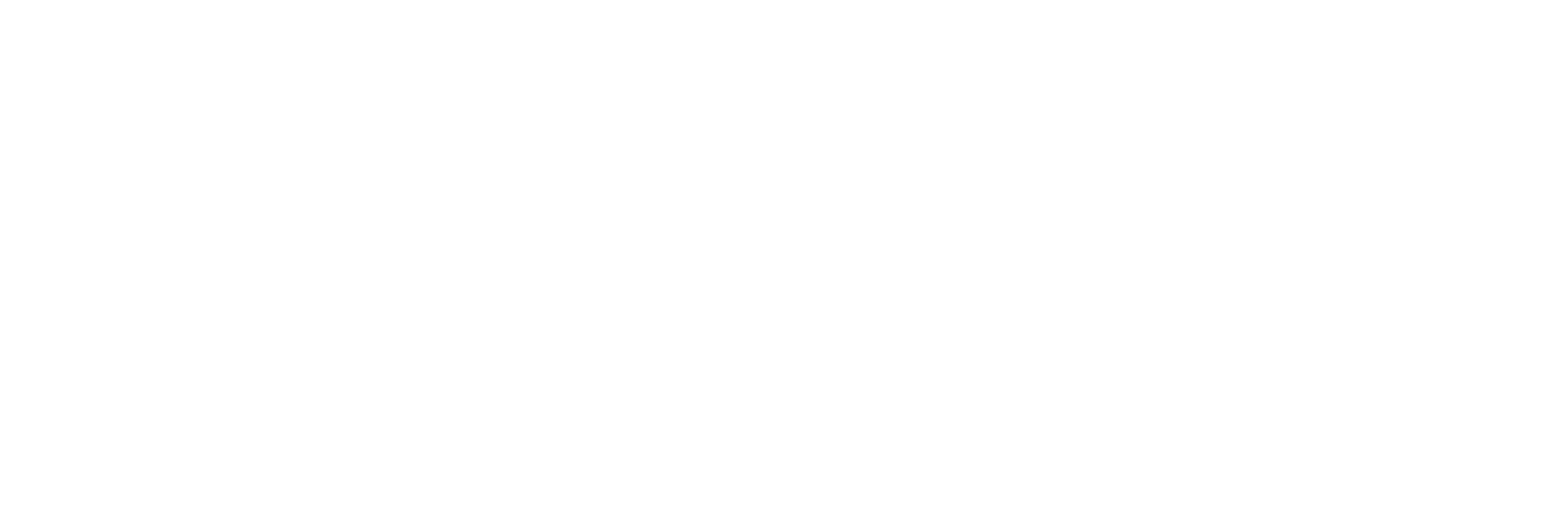 Minnesota Young DFL