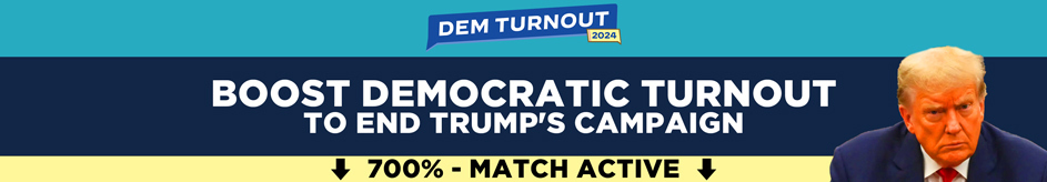Dem Turnout 2024