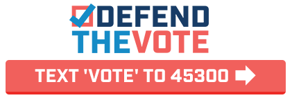 Defend the Vote