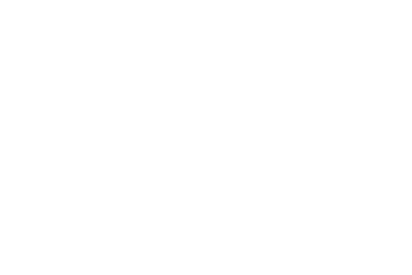March For Our Lives Action Fund