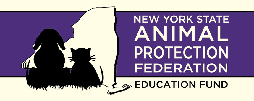 NYSAPF Education Fund