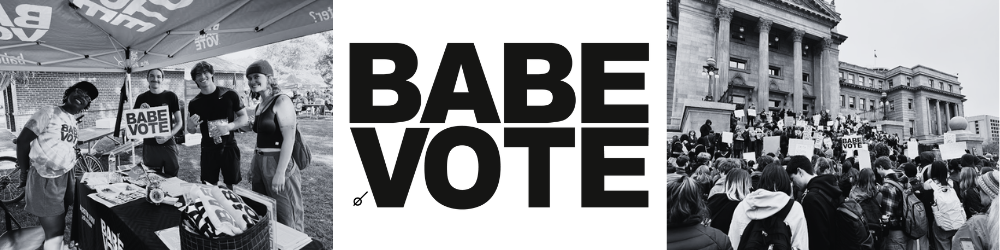 BABE VOTE Incorporated