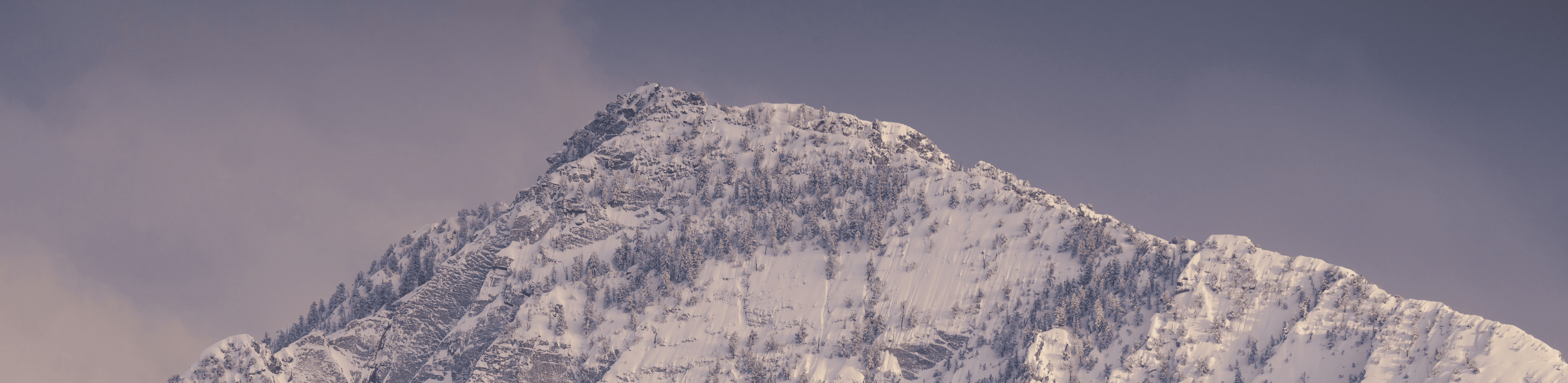 The Wasatch Assembly