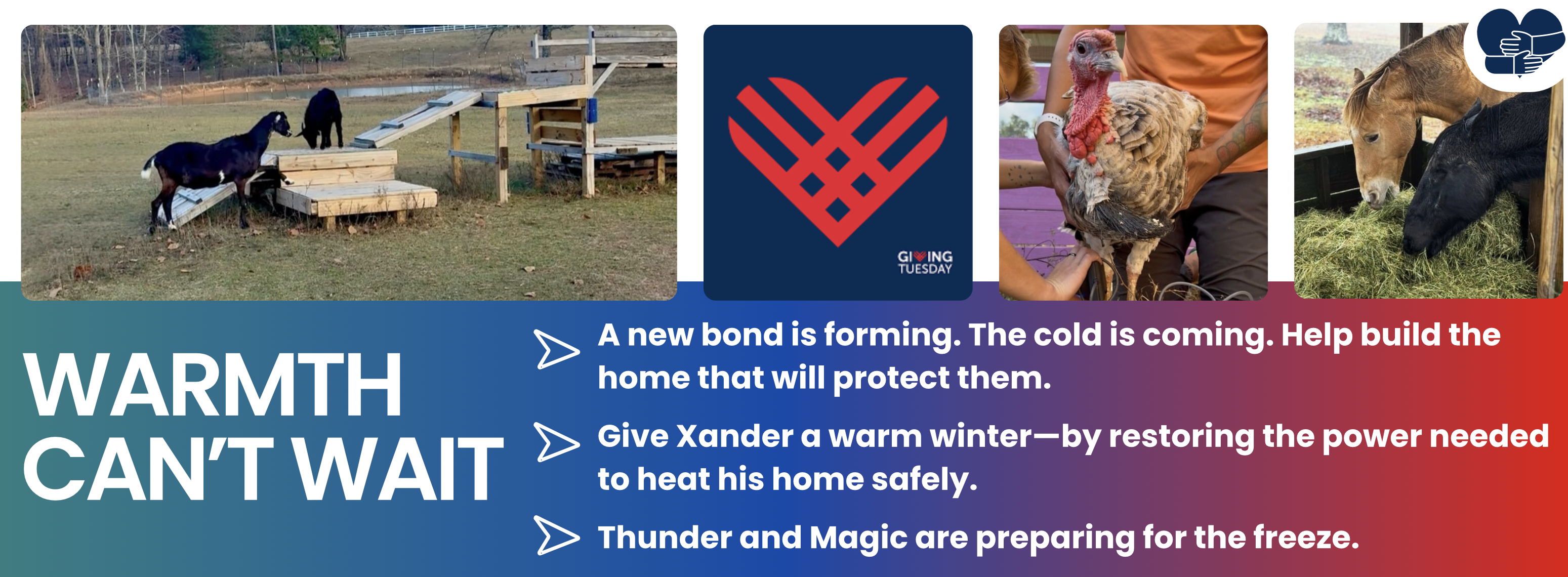 Full Circle Farm Sanctuary