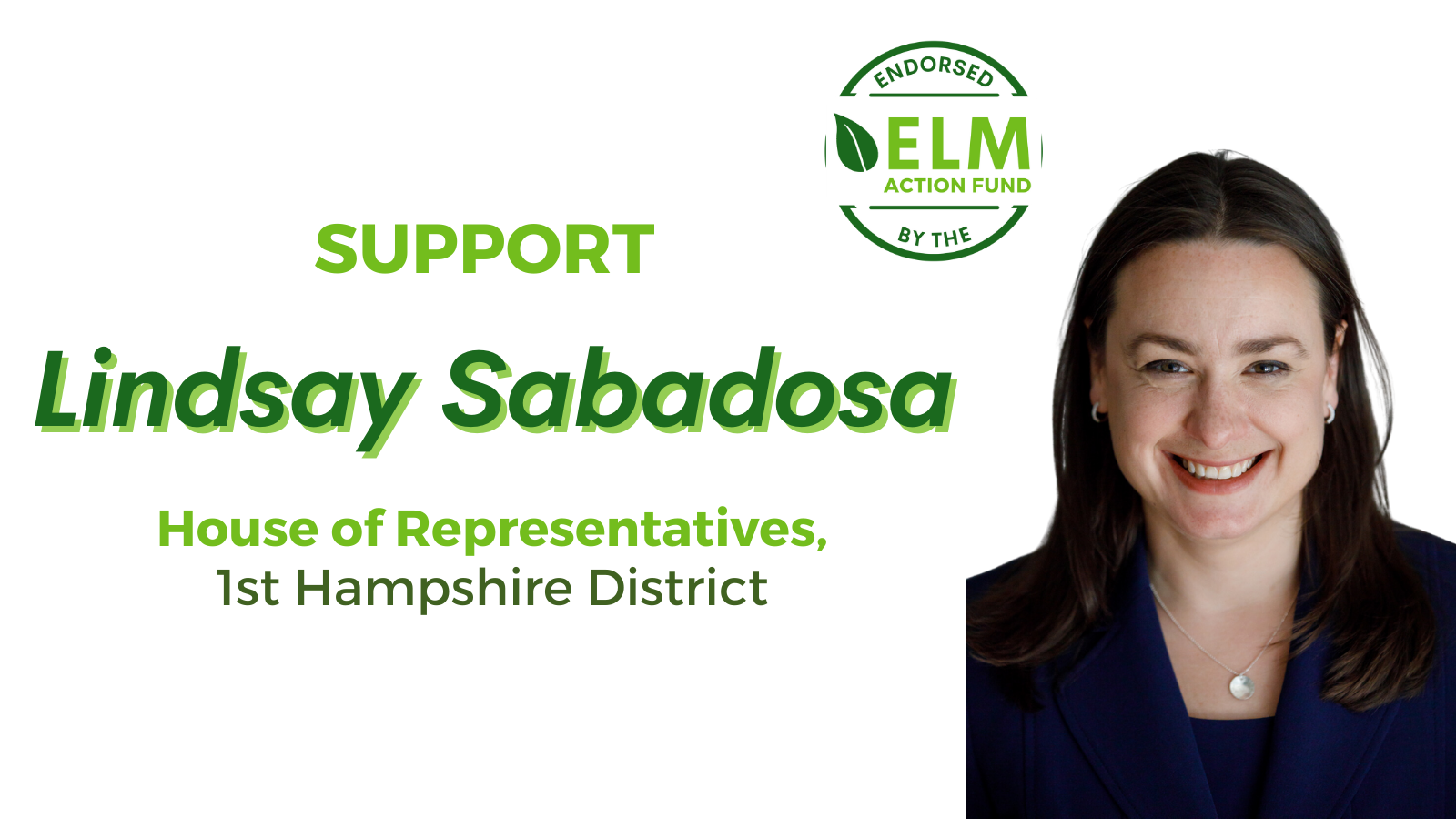 Environmental League of Massachusetts Action Fund, Inc.