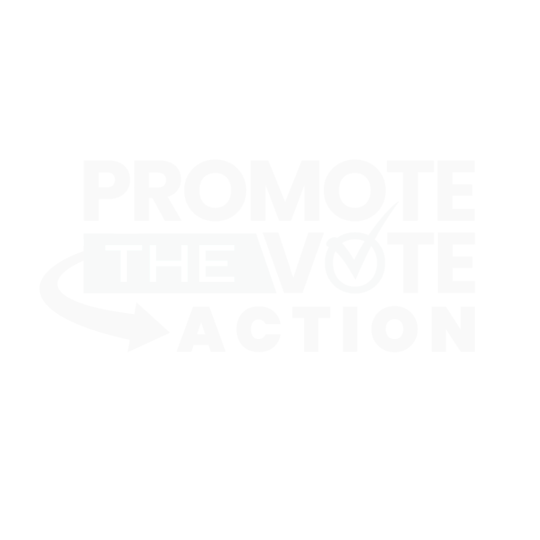 Promote the Vote Action