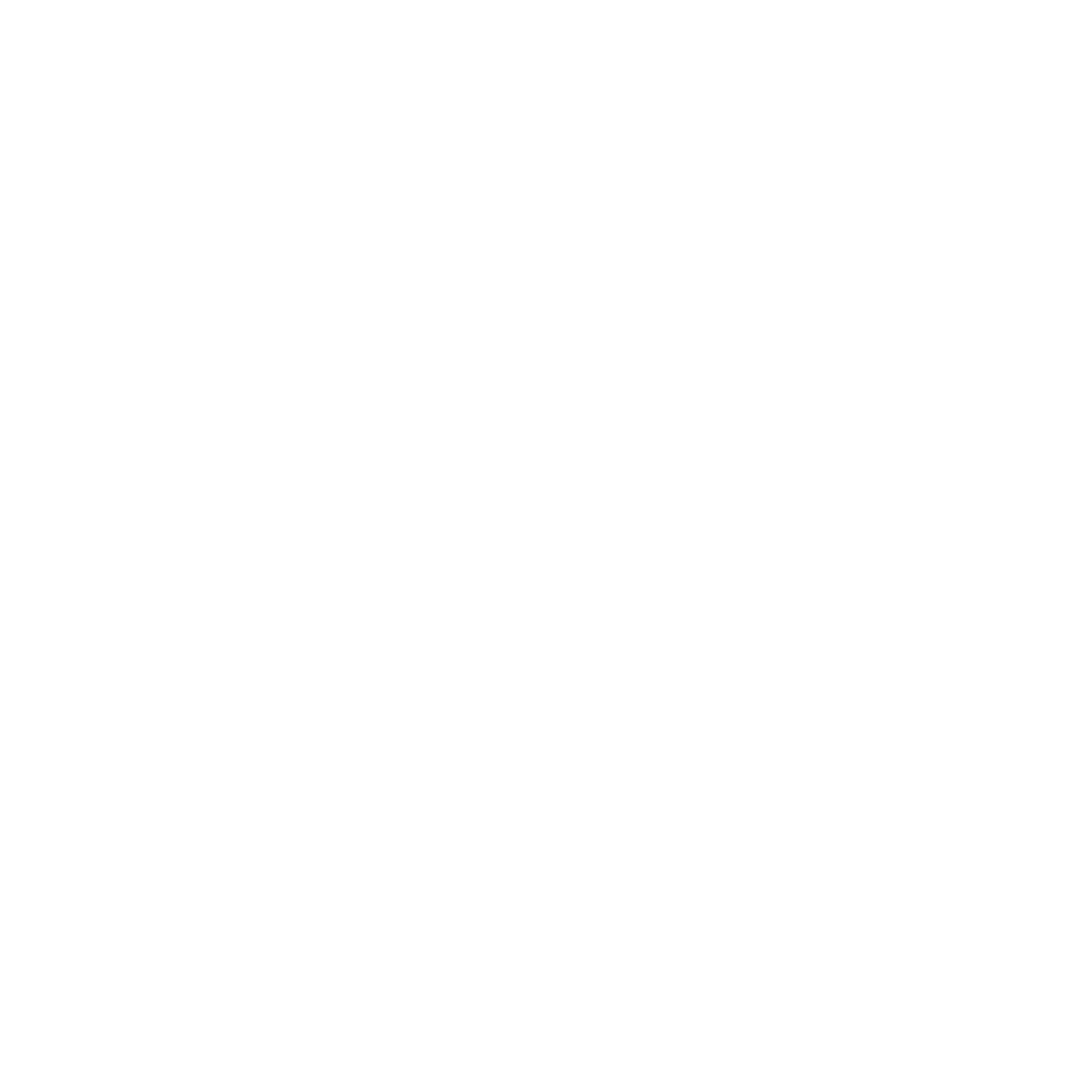 Washington Youth Alliance (501c3)