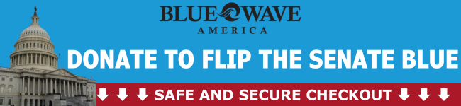 BlueWaveAmerica
