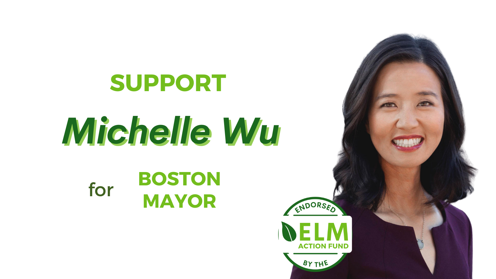 Environmental League of Massachusetts Action Fund, Inc.