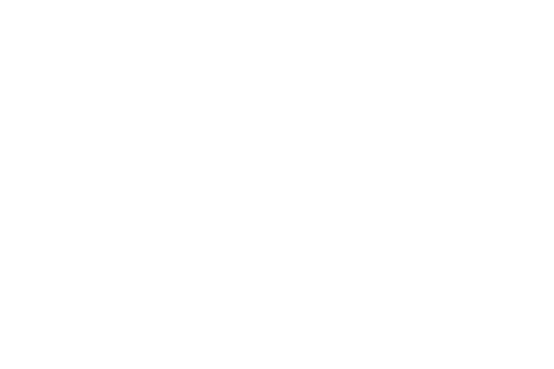 Vaughn Stewart