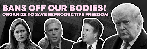 Charlotte County Democrats (FL)