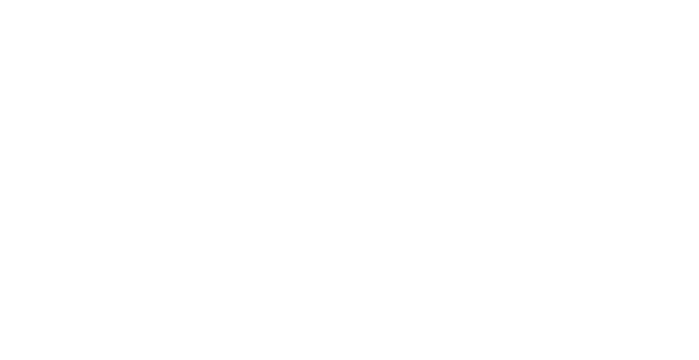 Sarah McBride