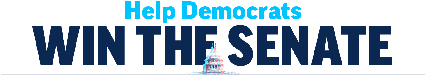 Swing Left District Funds