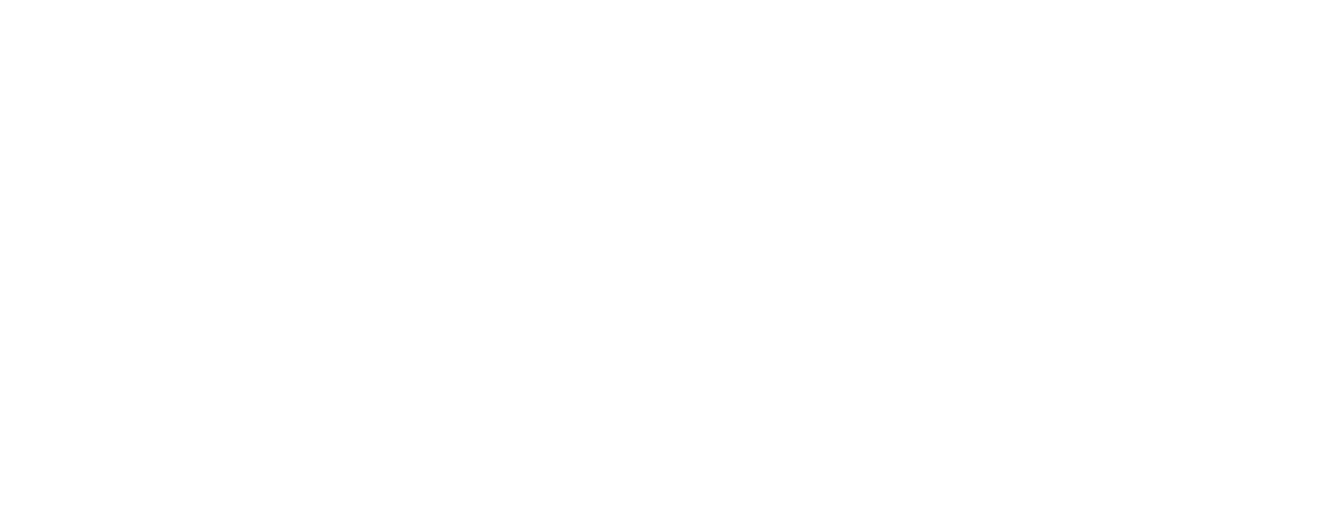 Independent Candidates Action - IE