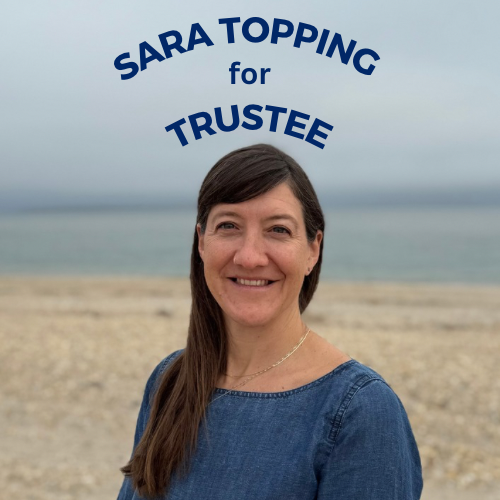 Sara Topping