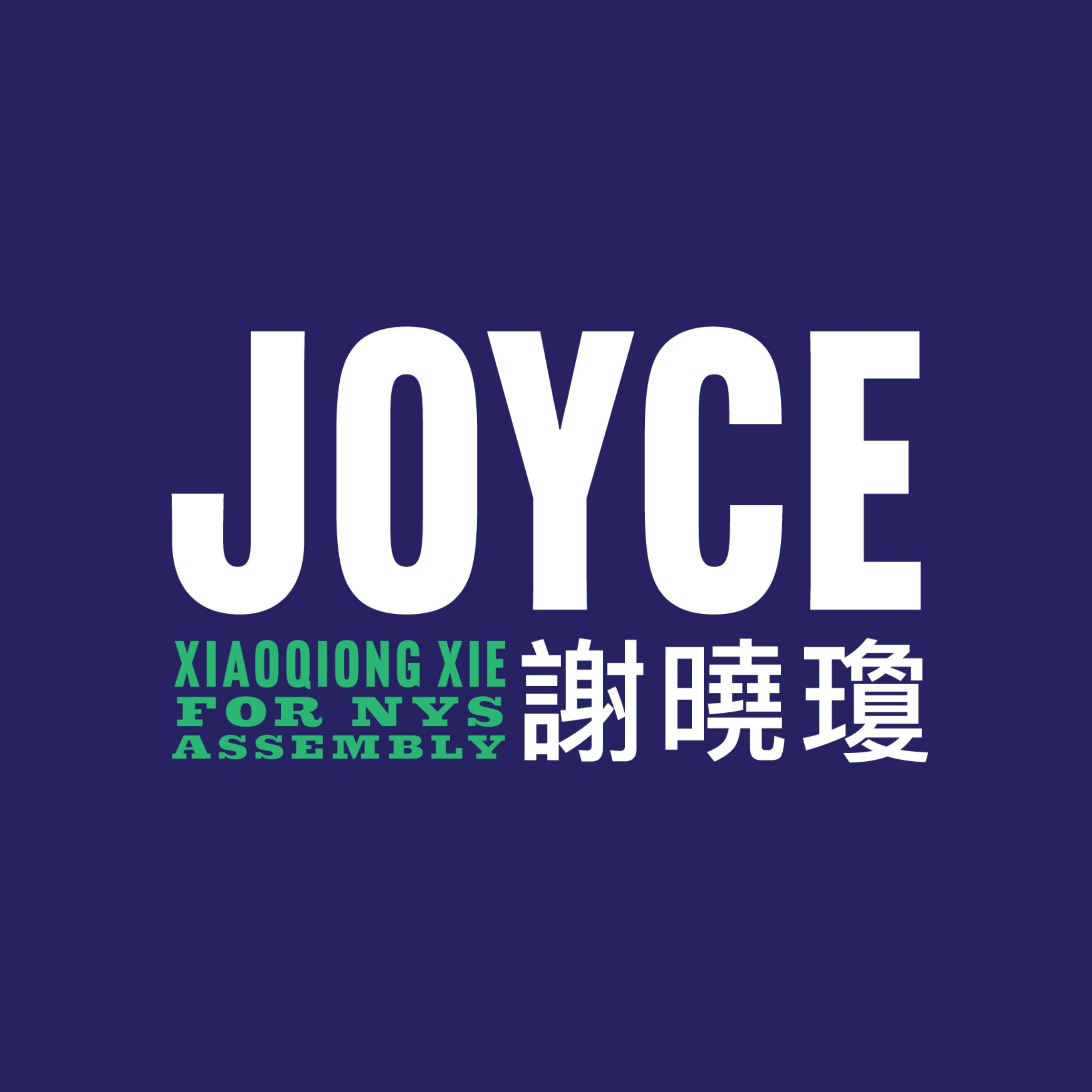 Joyce Xiaoqiong Xie