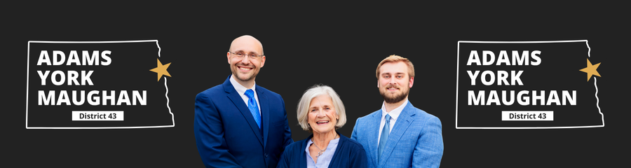 District 43 Dem-NPL (ND)