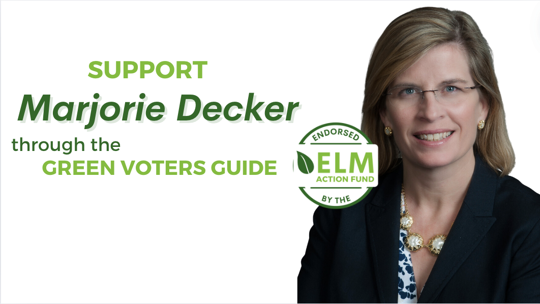 Environmental League of Massachusetts Action Fund, Inc.