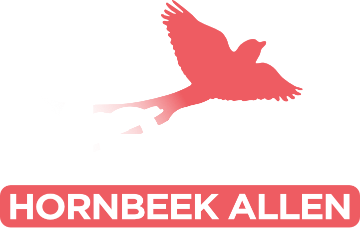Megan Hornbeek Allen