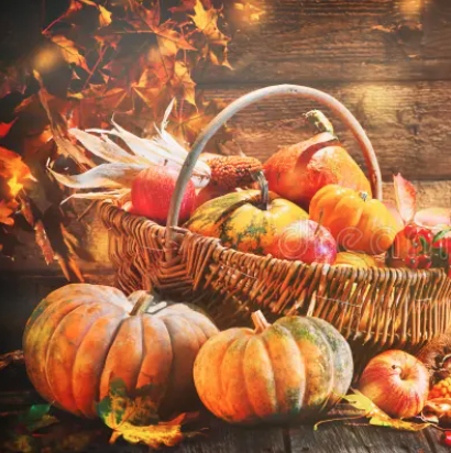 Democratic Women of Mecklenburg County (NC)