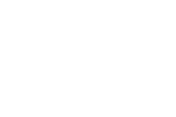 Rainforest Partnership