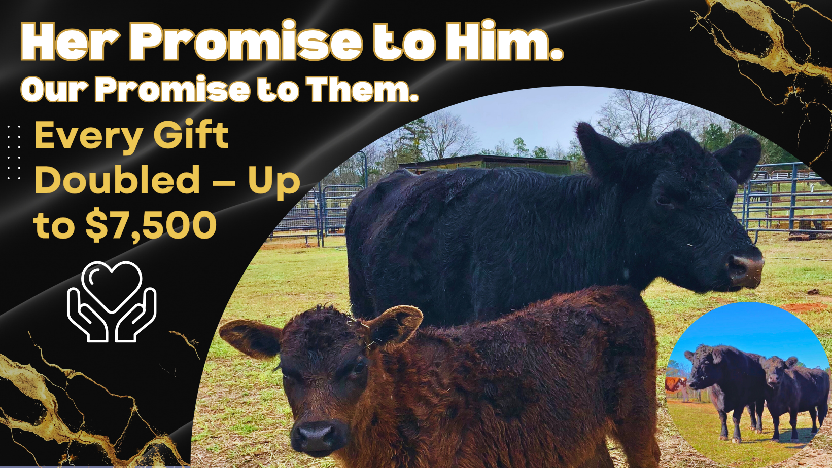 Full Circle Farm Sanctuary