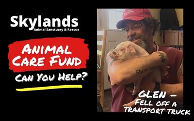 Skylands Animal Sanctuary and Rescue