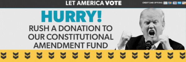 Let America Vote PAC