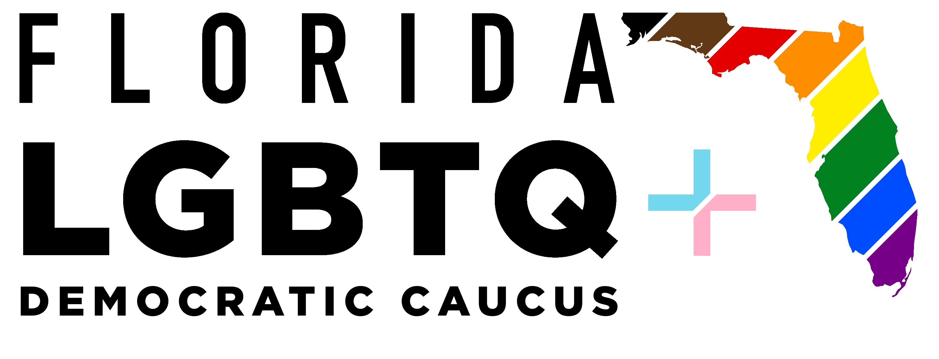 Florida LGBTQ+ Democratic Caucus, Inc.