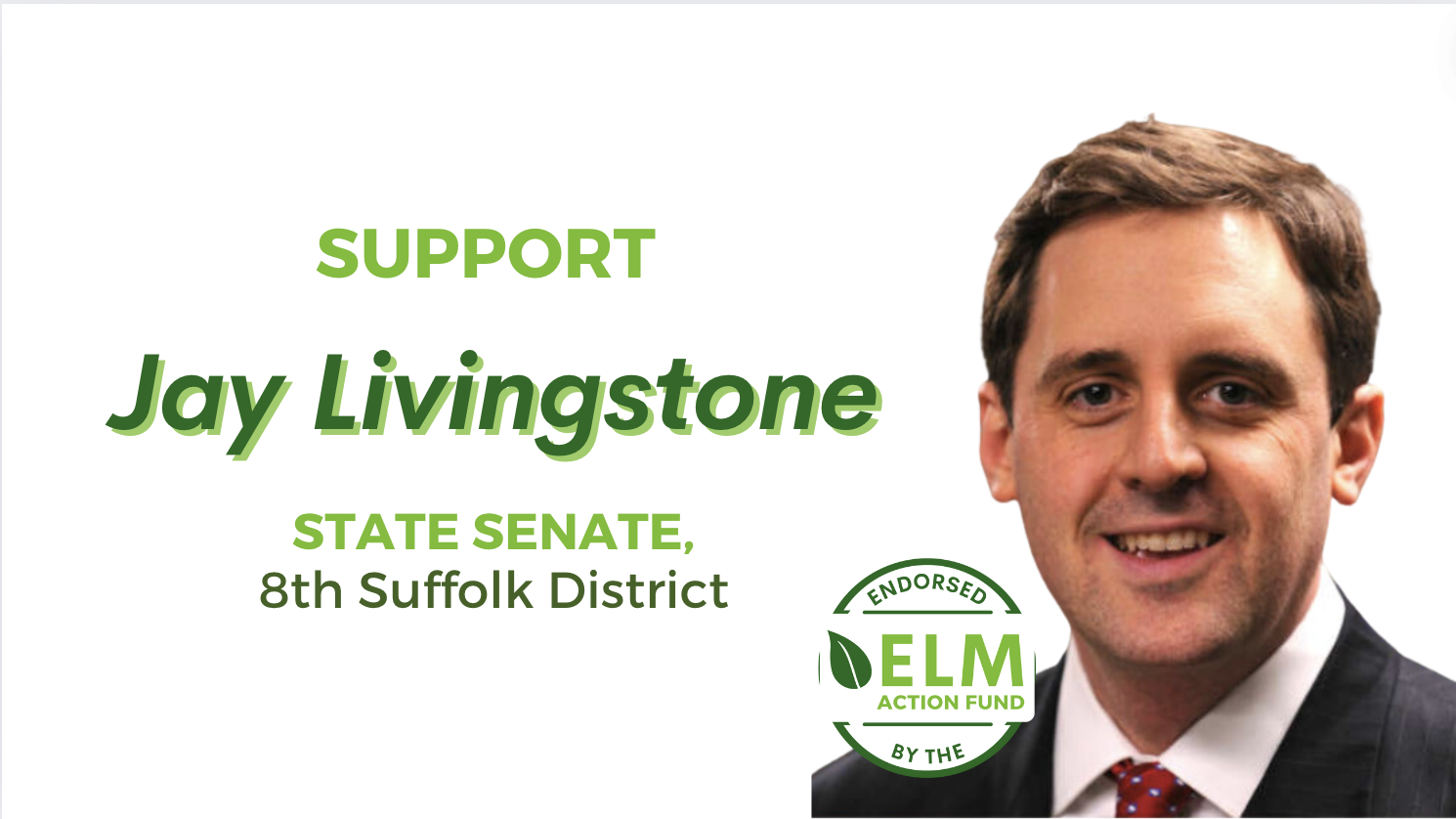 Environmental League of Massachusetts Action Fund, Inc.