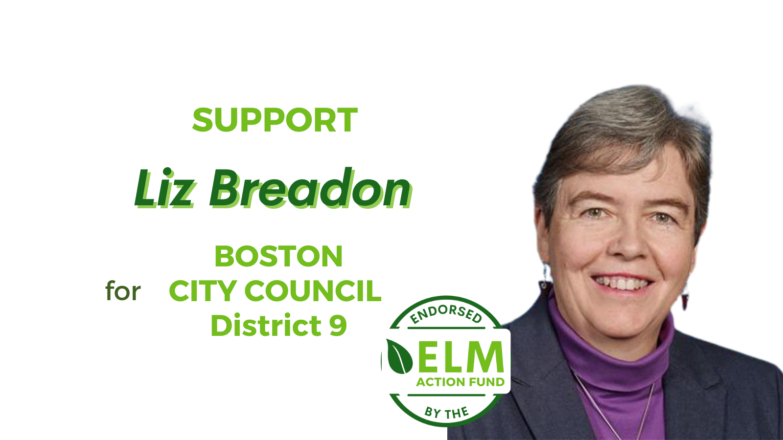 Environmental League of Massachusetts Action Fund, Inc.