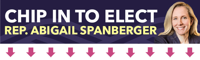 Elect Democratic Women