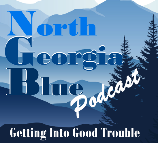 Fannin County Democratic Party (GA)