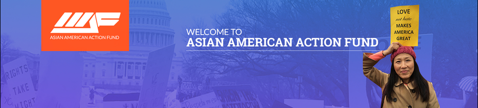 Asian American Action Fund