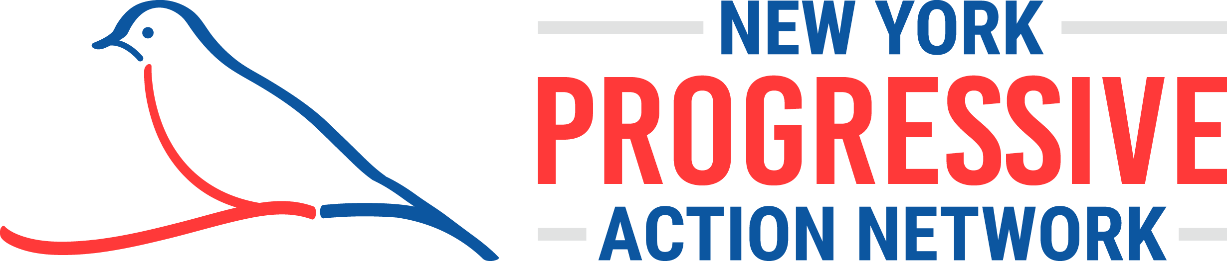 NY Progressive Action Network