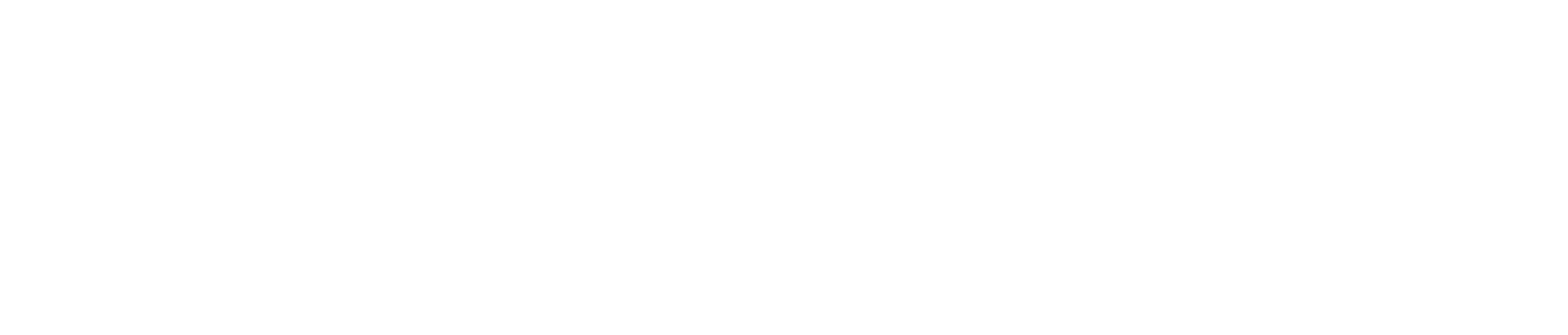 Arena 527