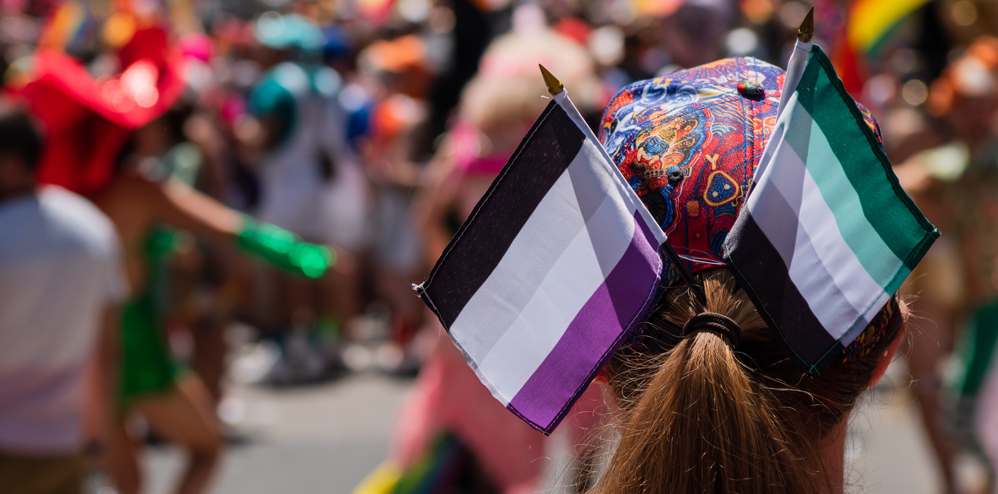 Panchsheel Activism is raising money for Aces & Aros