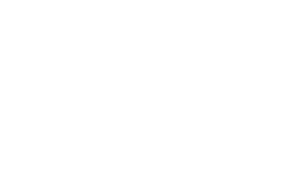 South Carolina State Democratic Committee - Federal Account