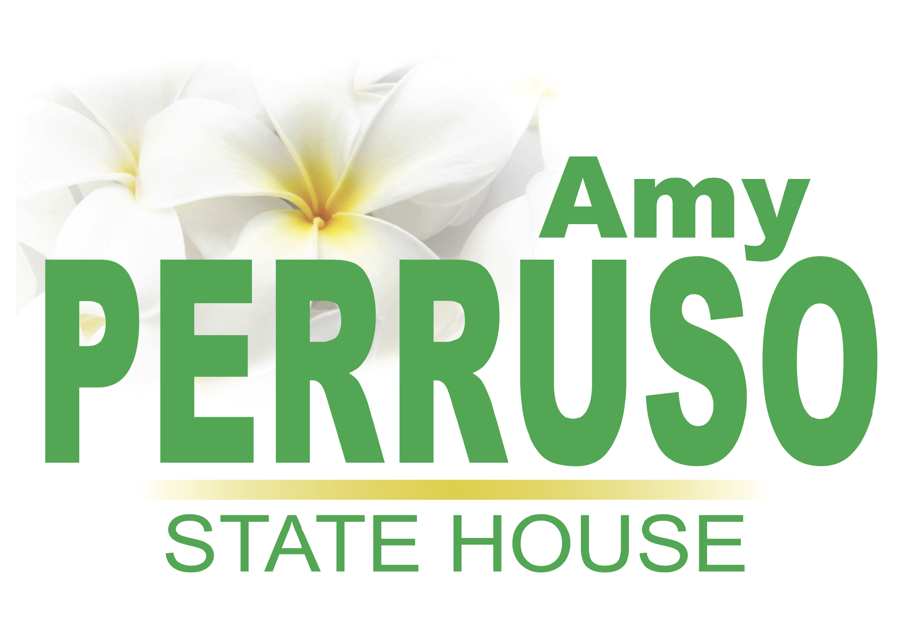 Amy Perruso