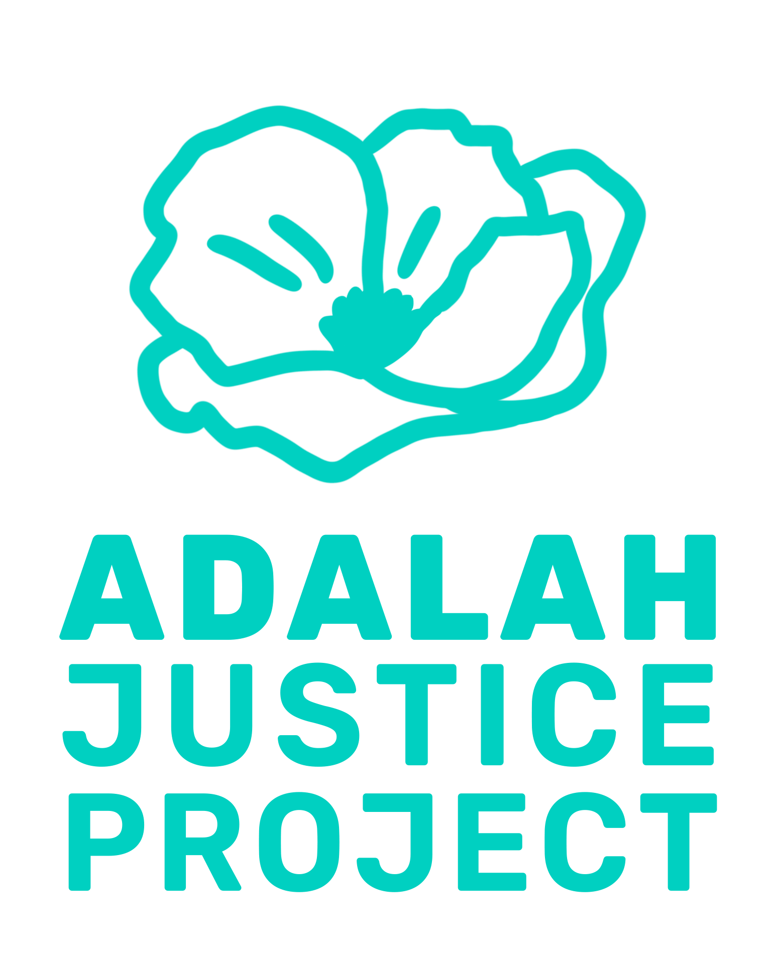 Adalah Justice Project